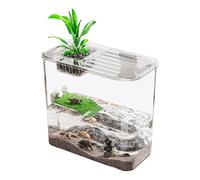 Réservoir pour Tortues d'eau, réservoir pour Tortues,Terrarium créatif de Tortues et de Poissons - Réservoir de Tortue de terrasse, Accessoires de Tortue multifonctionnels, réservoir d'élevage