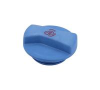Réservoir Refroid Liquide Bouchon De Réservoir De Trop-plein Radiateur Liquide Refroidissement Moteur 1J0121321B Compatible Avec A2 A3 A4 A6 Q7 Pour TT 1997 1998 1999 2000 2001 2002 2003 2004 2005