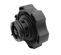 Réservoir Refroid Liquide Compatible Avec Chrysler Pour Pacifica 2020 68096261AA 68102155AB 68102155AC 68102155AD Bouchon De Bouteille Récupération Liquide De Refroidissement De Radiateur De Moteur