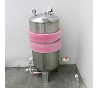 Réservoir sous pression vertical robuste en acier inoxydable 16 26 42 53 66 79132185 gallons, réservoir sous pression puits en acier inoxydable 304, récipient à vessie stockage puits/maisons(250L/66Ga