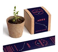 Resetea Bélier Kit Autoculture, Coriandre