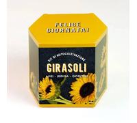 RESETEA, KIT AUTOCOLTIVAZIONE GIRASOLI, CASA, IDEE REGALO