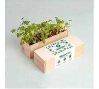 Resetea, Mini Orto - Erbe Aromatiche, Casa, Idee Regalo