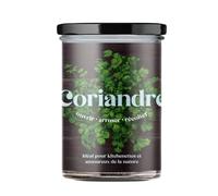 Resetea | Potagers de cuisine | Coriandre