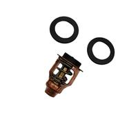 ResGcx Thermostat 160°F Compatible avec DF150, DF175, DF200, DF225, DF250 et DF300 (référence 17670-90J11)