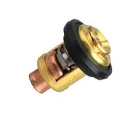 ResGcx Thermostat et Joint for Moteur Hors-Bord 378065 484841 734841 5005440 60℃ 143℉ 18-3553 Pièces de Rechange for Bateau