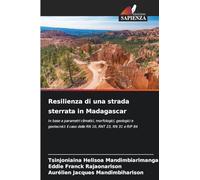 Resilienza di una strada sterrata in Madagascar