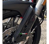 Resin Bike Autocollant Moto Compatibles avec Ducati Multistrada 950 V2-V2s 2022-2024. Protection Fourche Anti-Rayures et Anti-Chocs. Autocollant 3D Résinés Made in Italy