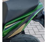 Resin Bike Autocollant Moto Compatibles avec Kawasaki Ninja 1100 SX SE 2025. Protections Poignées Arrière Passager Contre Les Chocs et Les Éraflures. Autocollant 3D Résinés Made in Italy