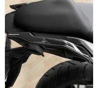 Resin Bike Autocollant Moto Compatibles avec Kawasaki Versys 650 2022-2025. Protections Poignées Arrière Passager Contre Les Chocs et Les Éraflures. Autocollant 3D Résinés Made in Italy