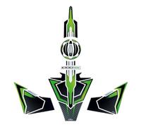 Resin Bike Kit Autocollant Moto Compatibles avec Kawasaki Ninja 1000 SX 2024-2025. Protection de Réservoir Moto Contre Les Chocs et Les Éraflures. Kit Autocollant 3D Résinés Made in Italy