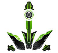 Resin Bike Kit Autocollant Moto Compatibles avec Kawasaki Z900 2023-2024. Protection de Réservoir, Bout de Carénage Moto Contre Les Chocs et Les Éraflures. Autocollant 3D Résinés Made in Italy