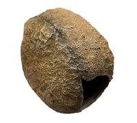 Resin Fishtanks Hideouts Rock Cave House Shelter Aquariums Decors for Safe Reptiles Breeding Environment Natural Aquariums Decors