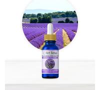 Resin Pro ArtSoap Parfum pour Savons Arômes Lavande de Sienne, Huiles Parfumées pour Savon, Huile Essentielle pour la Création de Savons DIY, Parfums pour Savons Artisanaux, 15ml
