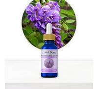 Resin Pro ArtSoap Parfum pour Savons Arômes printemps à Kyoto, Huiles Parfumées pour Savon, Huile Essentielle pour la Création de Savons DIY, Parfums pour Savons Artisanaux, 15ml