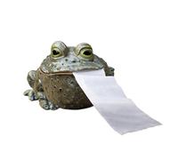 Resin Toad Toilet Paper Holder - Whimsical Animal Tissue Dispenser Decor