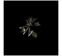 Resina - Traces - Remixes [Vinyl]