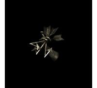 Resina - Traces - Remixes [Vinyl]