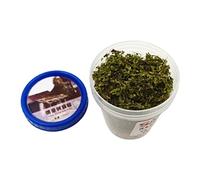 Résine 23 g - Matériau de feuillage miniature pour décoration de bâtiment - 120 ml