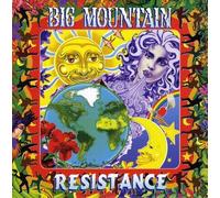 Resistance by Big Mountain (2005-04-05)