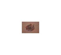Resistance pour centrale vapeur + thermostat 139°c Calor CS-00115345