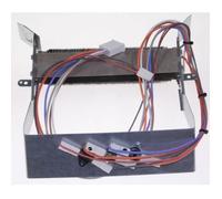 Resistance seche-linge 2300w + thermostats indesit c00277072