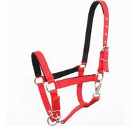 Résistant à l'usure Licol De L'âne De Formation Équestre De Licol Réglable Pour Licol Avec Corde De Licol De Hobby Licol Pour Grand Licol Pour