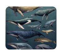 résistant à Usure Tapis de Gaming Mammifères Marins carrés avec Baleines Mouse Pad Gaming Mousepad 25x30cm pour Jeux,Joueurs Professionnels,Bureau