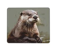 Résistant à Usure Tapis de Souris, Castor de la Berge, résistant à Usure Tapis Souris, Gamer Mouse Pad, 25X30cm, Bureau, Jeux, Souris