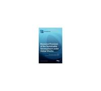 Resource Provision Of The Sustainable Development Under Global Shocks