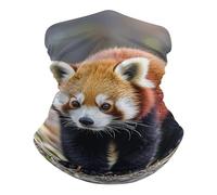 Respirant Bandeau Magique, Echarpe Gaiter Petit Panda Roux Animal Anti-Solaire Décoration faciale pour Sports Cyclisme Course à Pied