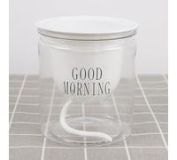 Respirez facilement avec notre pot de fleurs à arrosage automatique favorise un développement sain des racines (fond rond)