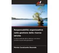 Responsabilità Organizzativa Nella Gestione Delle Risorse Idriche