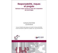 Responsabilité, Risques Et Progrès : Quelques Enjeux Récents Du Droit De La Réparation Des Dommages