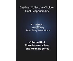 Responsibility, Choice, and the Architecture of Meaning: Book III of Consciousness, Law, and Meaning series