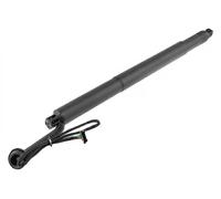 Ressort à gaz de plancher de coffre AE-BM-078 NTY pour BMW X6