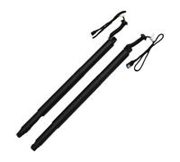 Ressort À Gaz Électrique Tige Support Hayon Électrique Gauche Droite Universelle J9C370354AE Pour Jaguar Pour E-PACE X540 2017-2022 Vérins Gaz Vérin(Pair)