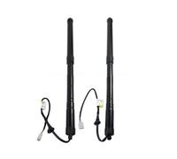 Ressort À Gaz Hayon Arrière Pour Lexus RX 2015-2022 68910-48071 Levage Arrière Droit Voiture Entretoise Hayon Électrique 6891048071 Ressort Pneumatique Compartiment À Bagages(PAIR)