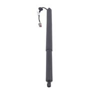 Ressort à Gaz Hayon Compatible Avec Ford Pour Explorer 2016 2017 2018 2019 Entretoises Support Levage Électrique De Hayon OEM GB5Z14B351A GB5Z78406A10A(Left Side)