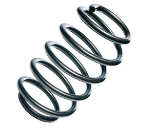 Ressort Avant OEM Remplacement R10677 pour Chevrolet AVEO 96653237 - 56985 - 36-