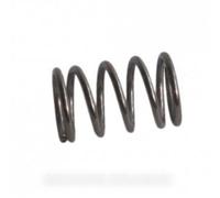 Ressort crochet de porte pour Lave-Linge HOTPOINT - ARISTON C00052870