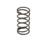 Ressort cylindrique nettoyeur haute pression 5.332-251.0
