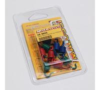 Ressort D Embrayage Malossi Pour Scooter Malaguti 50 F12 Phantom Ac Euro1 1999 À 2002 Neuf