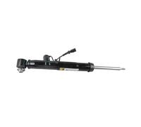 Ressort D'amortisseur Jambe Force Pièces Choc D'air Arrière Gauche Avec Des Annonces Pour A6 C6 2004-2010 4f0616031f 4f0616031m 4f0616032f 4f0616032m Jambe Amortisseur Suspension