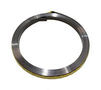 Ressort de lanceur de rechange de qualité pour démarreur Briggs & Stratton Numéro de pièce 490179