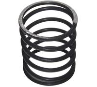 Ressort de rechange pour notre tête fil nylon TAP-N-GO 1600912