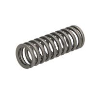 Ressort de soupape DT Spare Parts 1.10781
