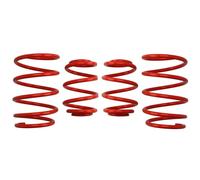 Kit de ressorts de suspension avec expertise E20-20-004-08-22 EIBACH pour BMW
