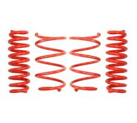 Ressort de suspension EIBACH E20-20-013-02-22