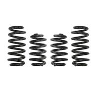 Jeu de suspensions, ressorts E10-15-008-03-22